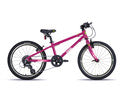 Frog Bikes 52 / 20 Inch Kids Hybrid Bike