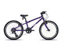 Frog Bikes 52 / 20 Inch Kids Hybrid Bike