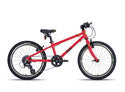 Frog Bikes 52 / 20 Inch Kids Hybrid Bike