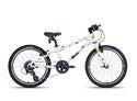 Frog Bikes 52 / 20 Inch Kids Hybrid Bike