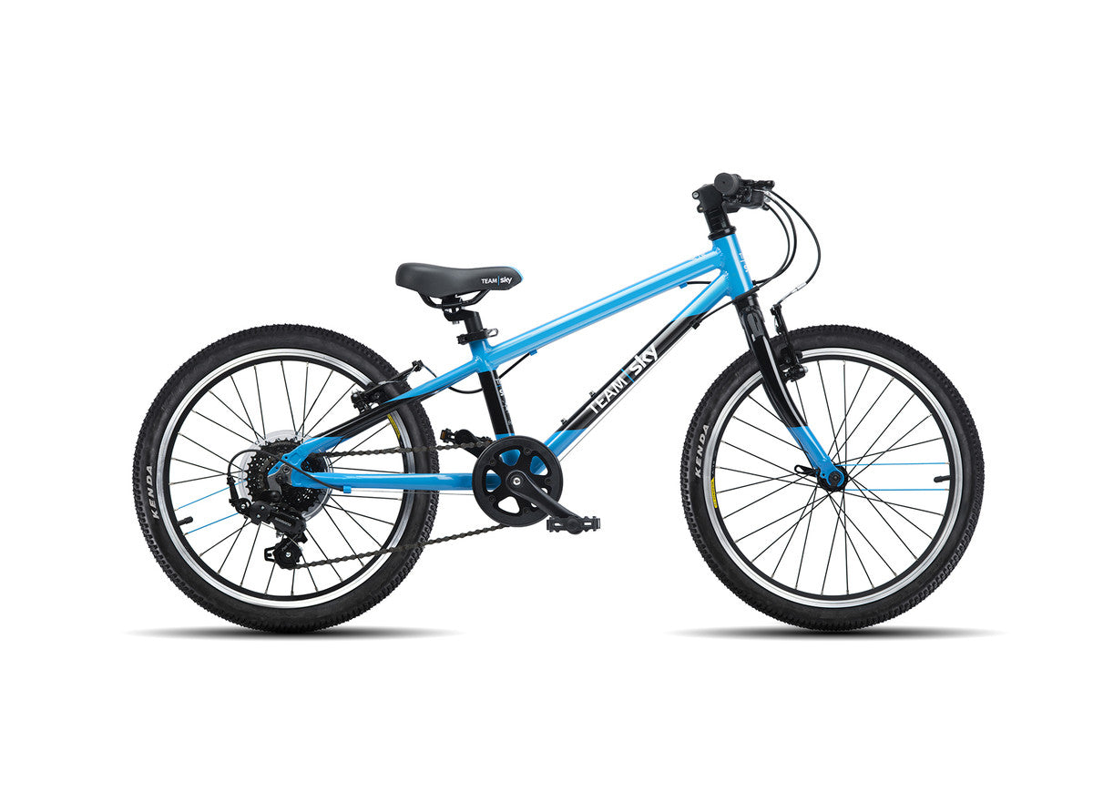 Frog Bikes 52 / 20 Inch Kids Hybrid Bike