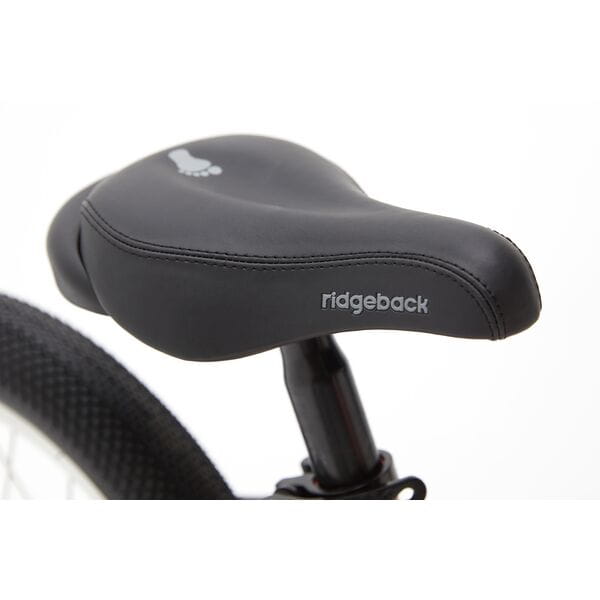 Scoot Balance Bike 14" XL