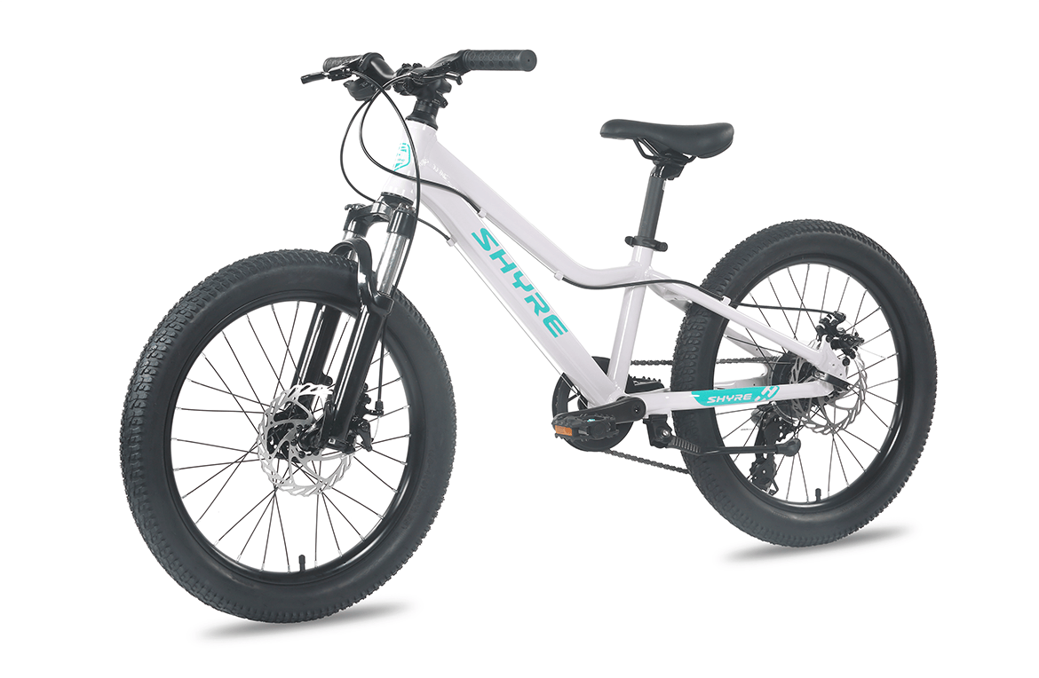 Shyre Eastie 20" Wheel Kids Trail Bike