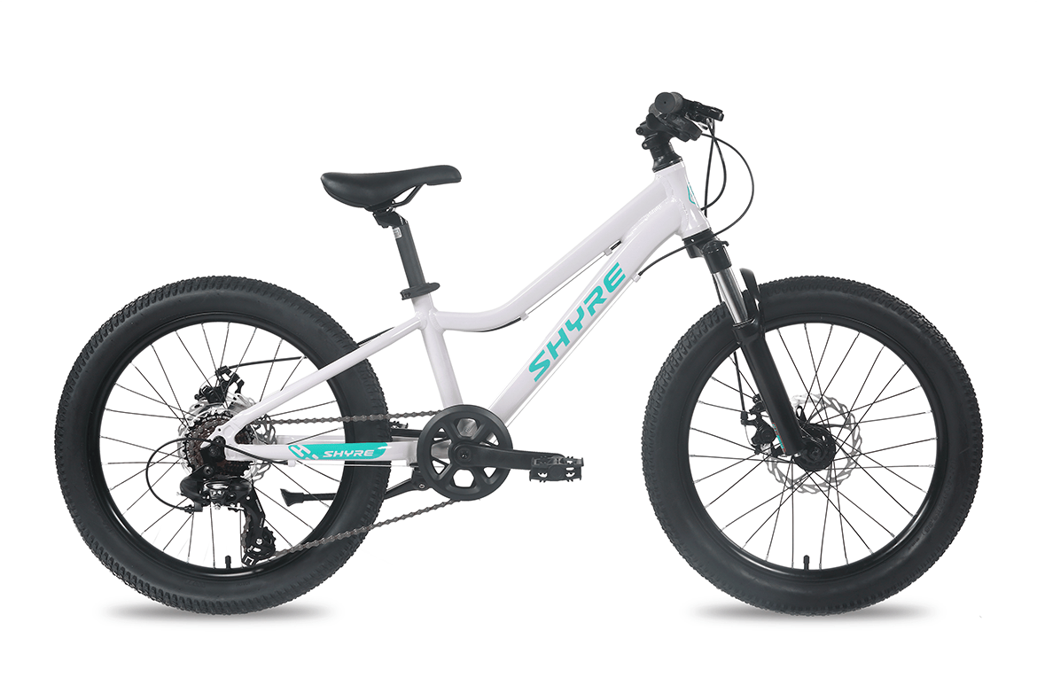 Shyre Eastie 20" Wheel Kids Trail Bike