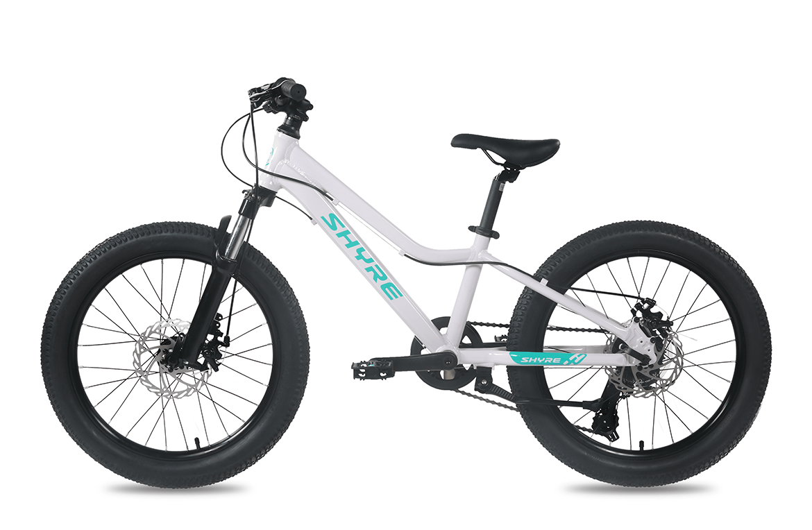 Shyre Eastie 20" Wheel Kids Trail Bike