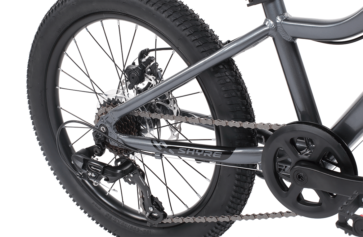 Shyre Eastie 20" Wheel Kids Trail Bike