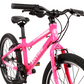 Shyre Hopton 20" Wheel Hybrid Kids Bike