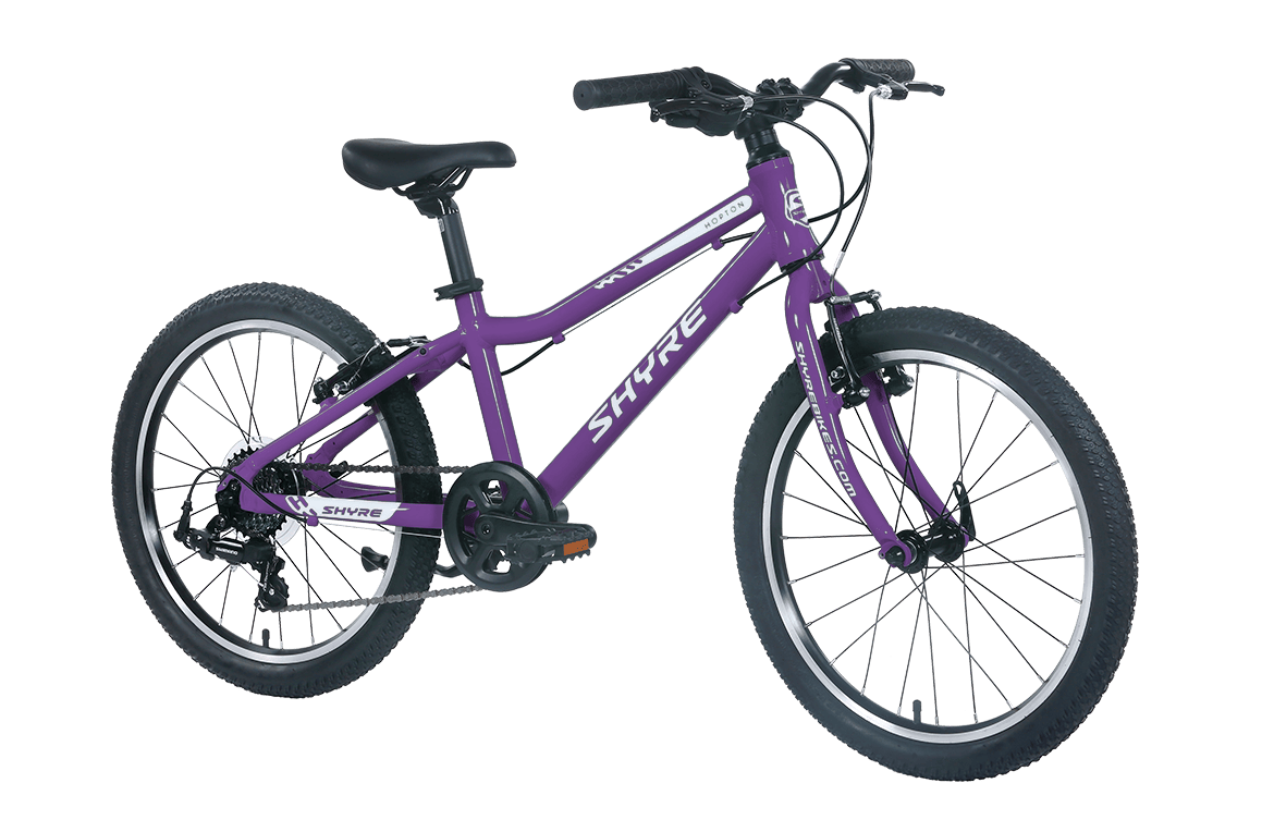 Shyre Hopton 20" Wheel Hybrid Kids Bike