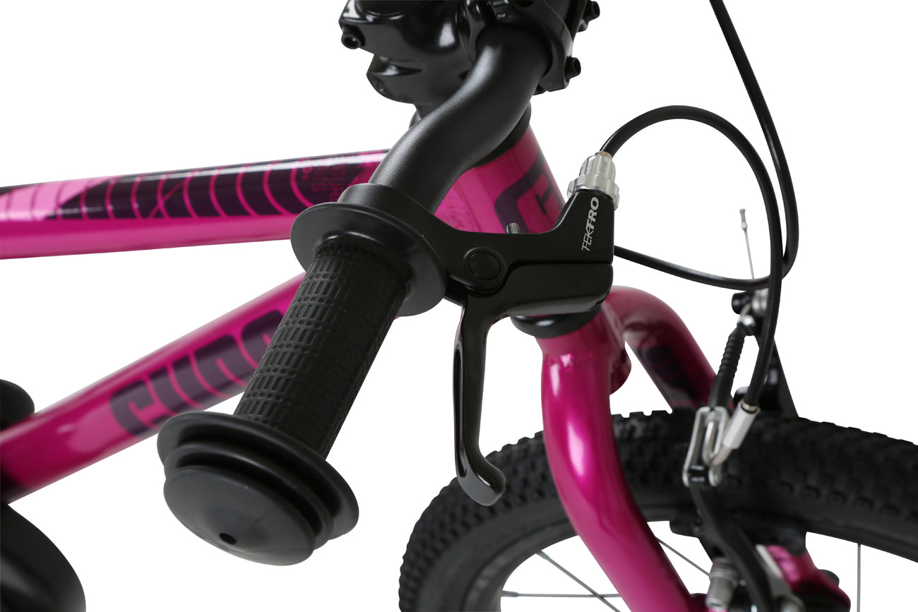 Pink 2024 banana bike