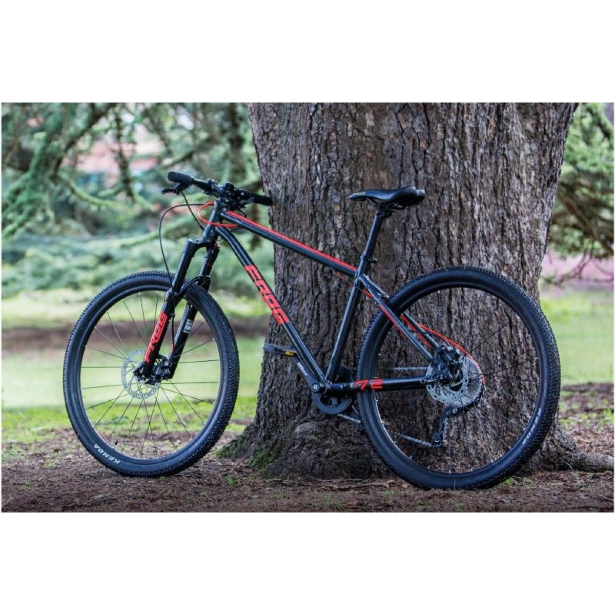 Frog bikes clearance mtb 72